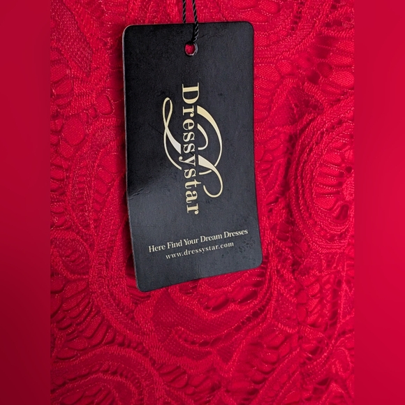 Dressystar Red Lace Overlay Fit Flare Dress Sleeveless Cocktail Holiday Elegant - Picture 13 of 14